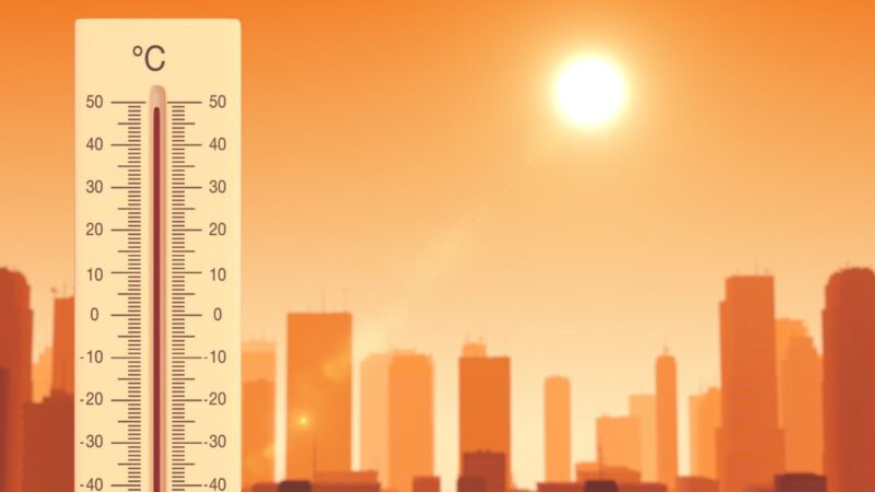 Klimato krizė pasiekė lūžio tašką: 2024-ieji – karščiausi metai istorijoje