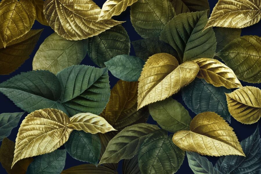 Šeštadienio Augalų Gidas (Kovo 15 d.): Sužinokite, kuris augalas šiandien suderins jūsų žvaigždes!