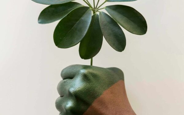 Antradienio Augalų Vadovas (kovo 18 d.): Atraskite augalą, kuris šiuo metu atitinka jūsų horoskopo kosminę energiją!