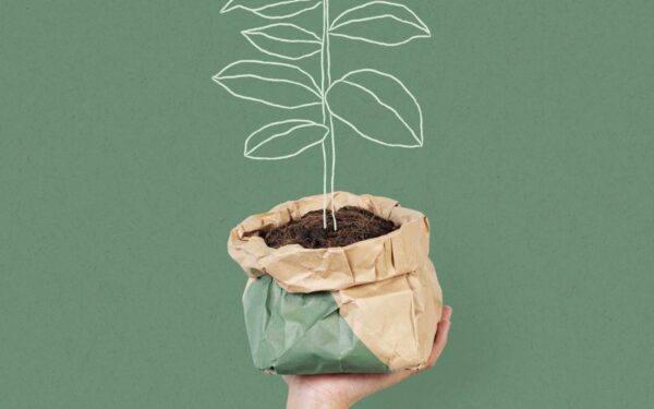 Šeštadienio augalų vadovas (kovo 8 d.): Atraskite dangišką augalą, kuris laukia, kad pakeistų jūsų dieną!