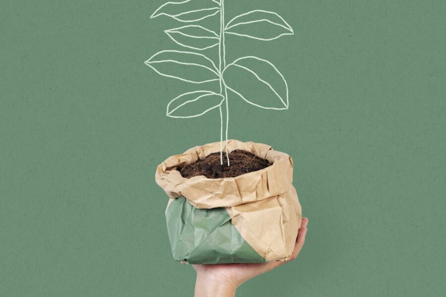 Šeštadienio augalų vadovas (kovo 8 d.): Atraskite dangišką augalą, kuris laukia, kad pakeistų jūsų dieną!