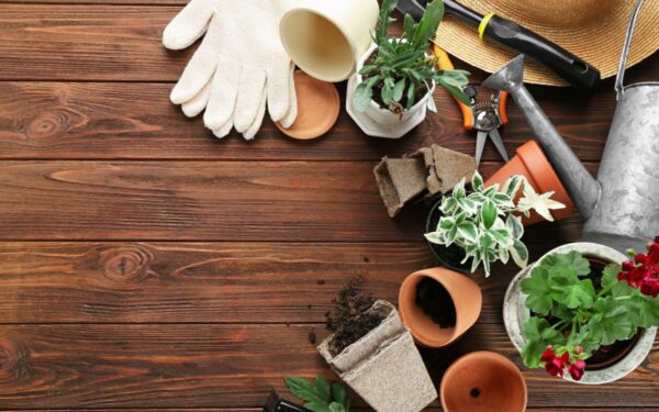 Pavasario sodininkystės klaidos, kurios gali sugadinti jūsų derlių