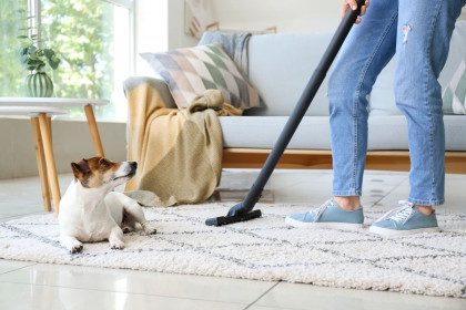 10 dažniausių dulkių siurblio naudojimo klaidų