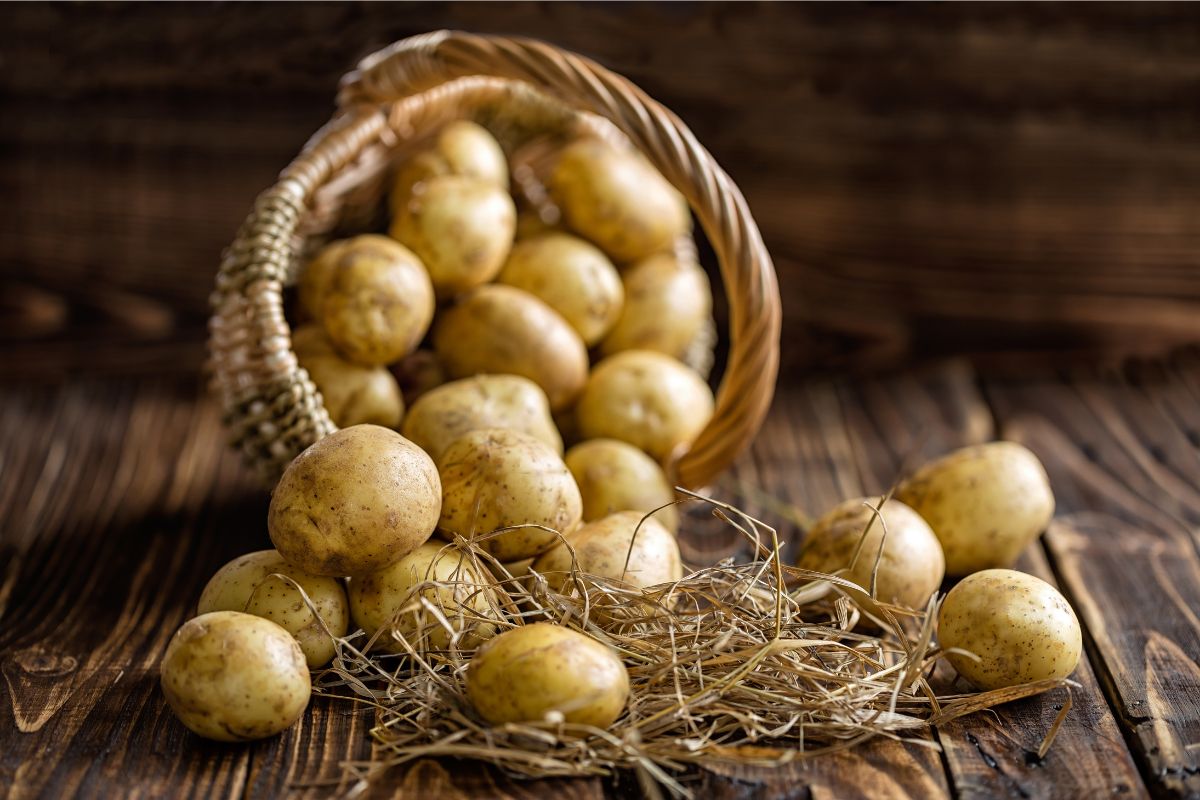 Kokios bulvės nevalgomos? Žinokite tai visiems laikams.