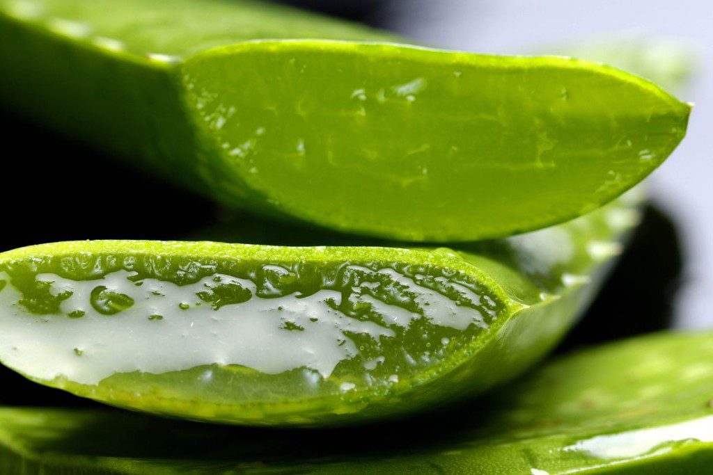 Naturali-pagalba-is-gamtos-kokie-augalai-tinka-veido-prieziurai-aloe-vera-intensyvus-drekinimas - Laikas.lt Natūrali pagalba iš gamtos: kokie augalai tinka veido priežiūrai? Aloe vera intensyvus drėkinimas
