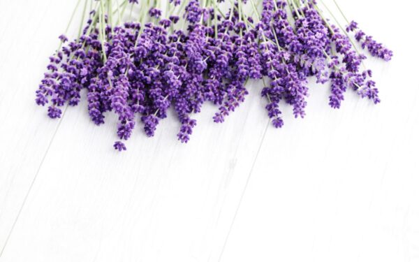 Patarimai, kaip derinti levandos atspalvį savo aprangoje šį pavasarį