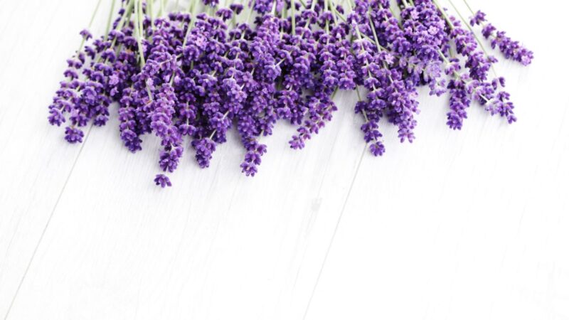 Patarimai, kaip derinti levandos atspalvį savo aprangoje šį pavasarį