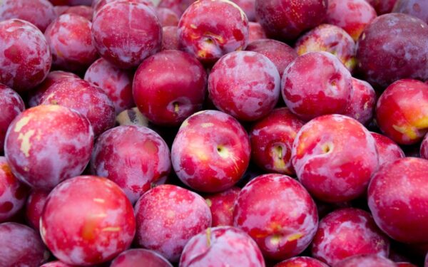 Šios raudonų slyvų veislės – grožis sode ir nuostabus vaisių skonis