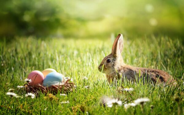Eostre: Pamirštoji Velykų deivė ir jos palikimas