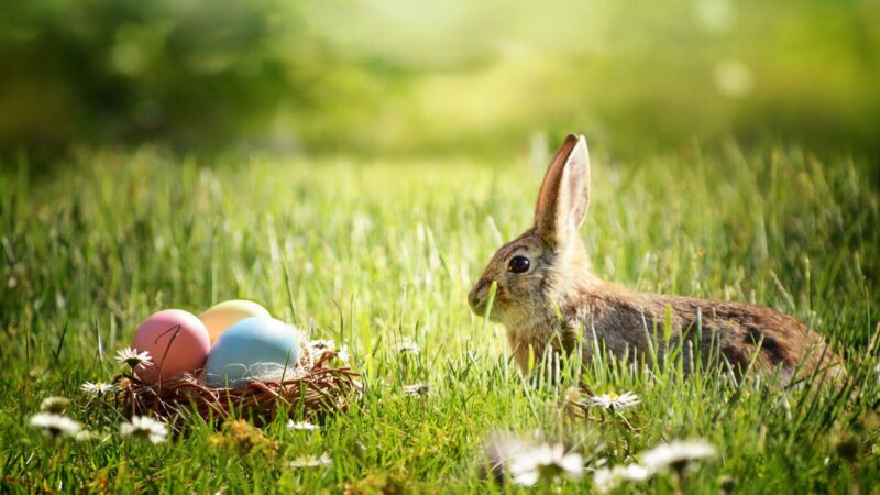 Eostre: Pamirštoji Velykų deivė ir jos palikimas