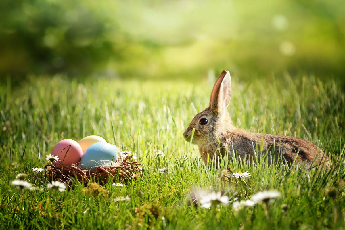 Eostre: Pamirštoji Velykų deivė ir jos palikimas