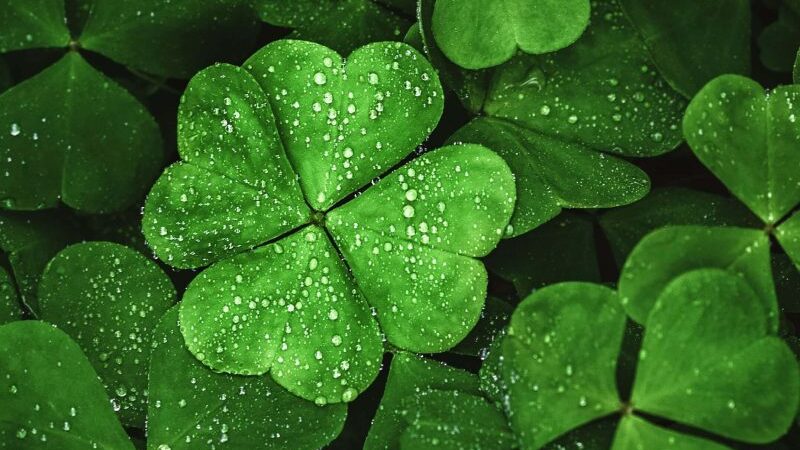 Ketvirtadienis Geras prietaras (balandžio 17 d.): Trijų zodiako ženklų laukia magiškos akimirkos prie vandens šiandien!