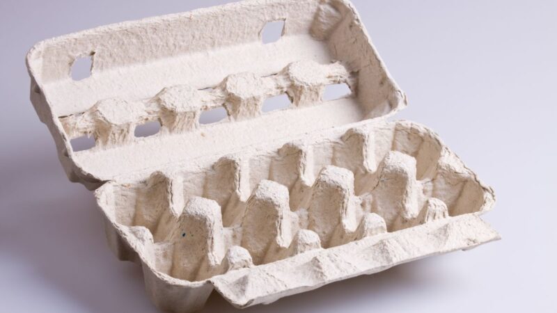 Kiaušinių dėklų panaudojimo būdai: ne išmeskite, o panaudokite kūrybiškai!