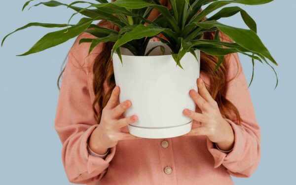 Antradienio Augalų Gidas (Balandžio 22 d.): Atraskite Dangiškąjį Augalą, Kuris Šiandien Suderintas su Jūsų Zodiako Ženklu!