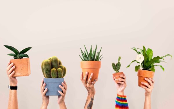 Antradienio augalų vadovas (balandžio 1 d.): Atraskite kosminį augalą, kuris uždegs jūsų aistrą ir šiandien vadovaus jūsų likimui!