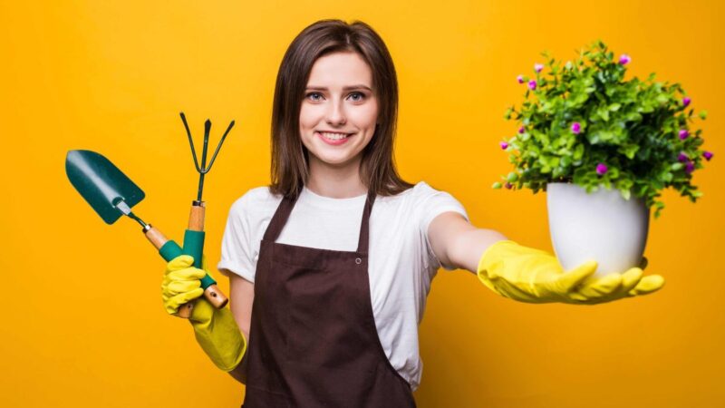Šeštadienio augalų vadovas (balandžio 26 d.): Koks augalas šiandien atrakins jūsų kosminį potencialą?