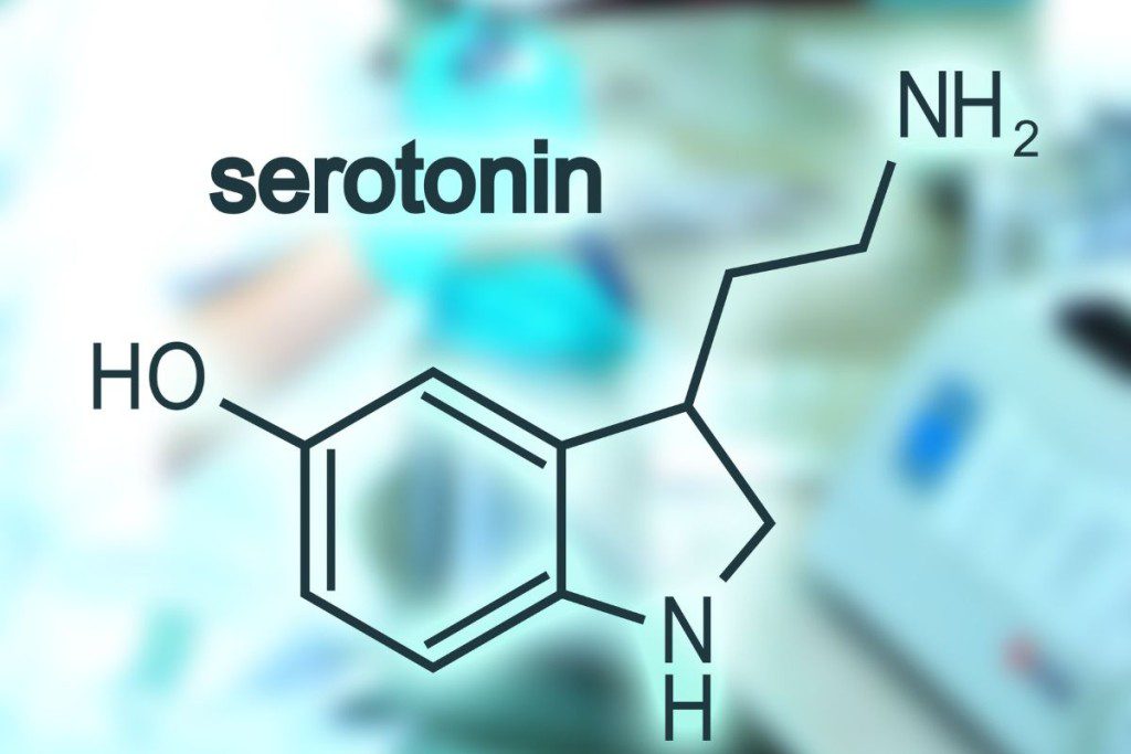 serotoninas-ir-saules-sviesa - Laikas.lt Serotoninas ir saulės šviesa
