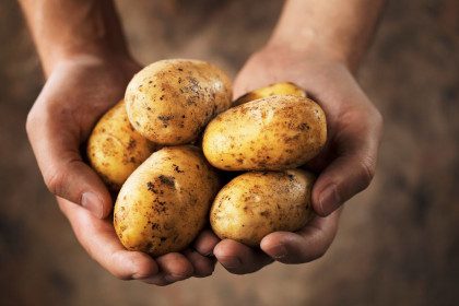 8 mitai apie maisto produktus: kas nepelnytai šmeižiamas?