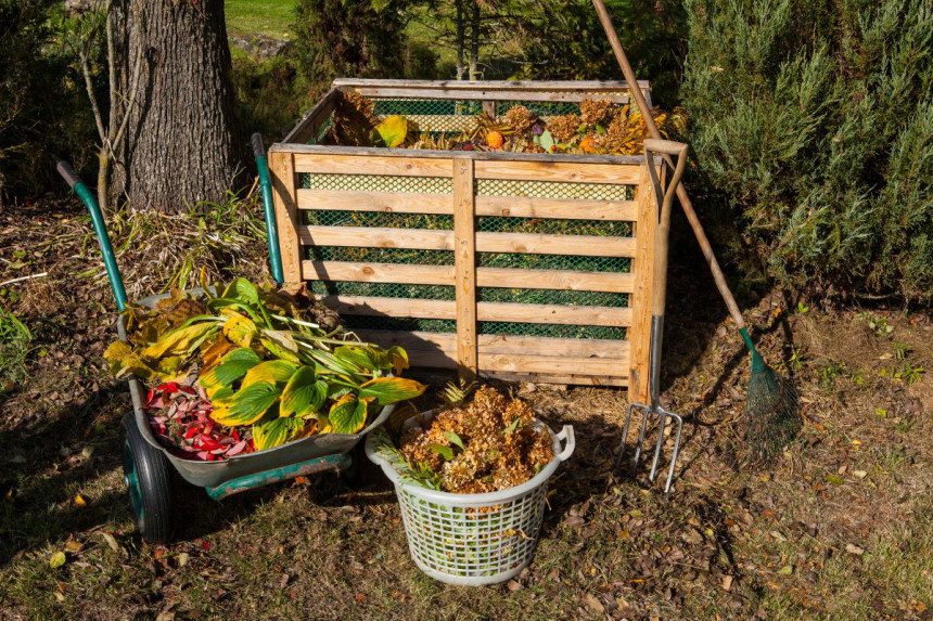 Norite pasigaminti ypač veiksmingą kompostą? Įberkite šį ingredientą.