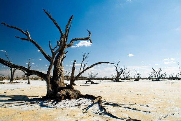 Šokiruojančios klimato prognozės: po 50 metų šios šalys gali tapti nebegyvenamos