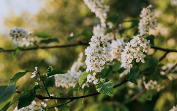 20 laipsnių vos per 24 valandas? Sinoptikai perspėja, kad laukia itin neramus laikotarpis