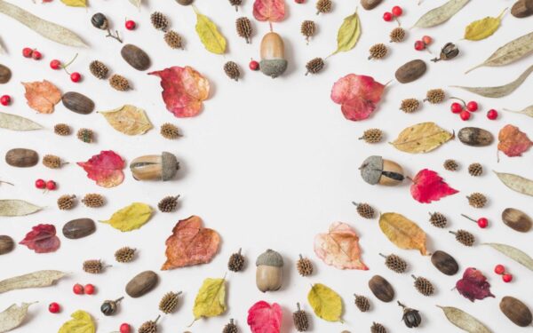 Šeštadienio augalų vadovas (gegužės 3 d.): Atraskite augalą, kuris atveria kosminę ramybę ir šiandien suderina jūsų žvaigždes!