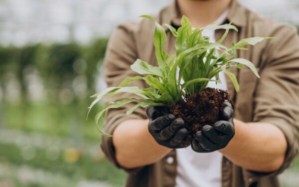 Antradienio Augalų Vadovas (Gegužės 6 d.): Atrakinkite Kosmines Energijas Su Jūsų Horoskopo Augalu Šiandien!