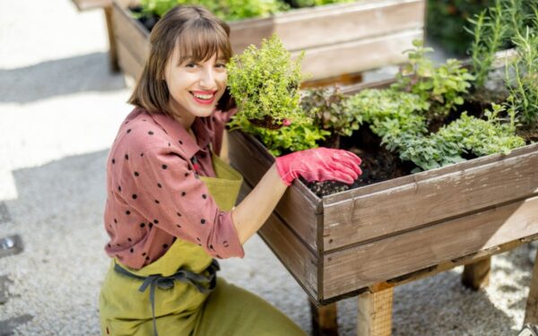 8 dažniausios pradedančiųjų klaidos auginant augalus ir kaip jų išvengti