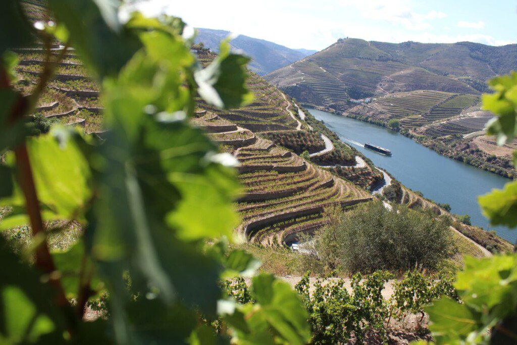 alkoholio-turizmas-portugalija - Laikas.lt Alkoholio turizmas Portugalijoje