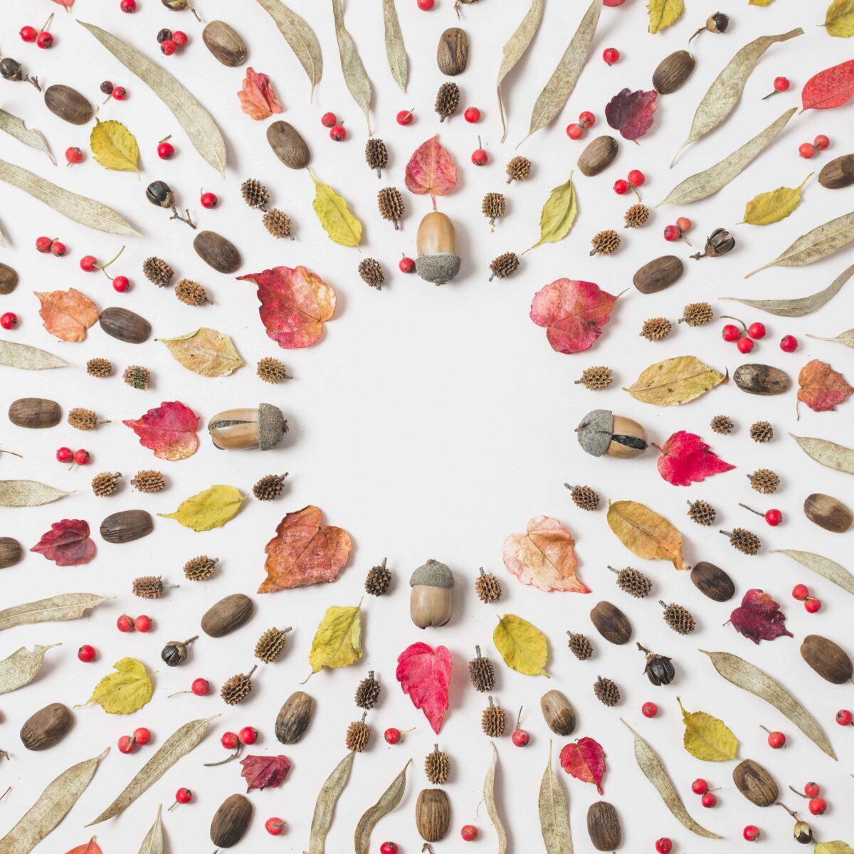 Antradienio augalų vadovas (birželio 3 d.): Sužinokite, kuris augalas suderins jūsų žvaigždes ir pakels jūsų kosminę kelionę šiandien!