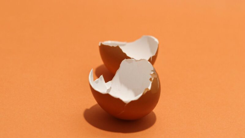 Kiaušinių lukštai: 15 išradingų būdų, kaip juos panaudoti