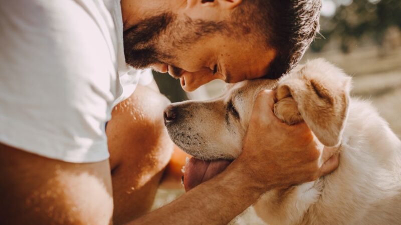 Kodėl gyvenimas su šunimi padeda sumažinti stresą