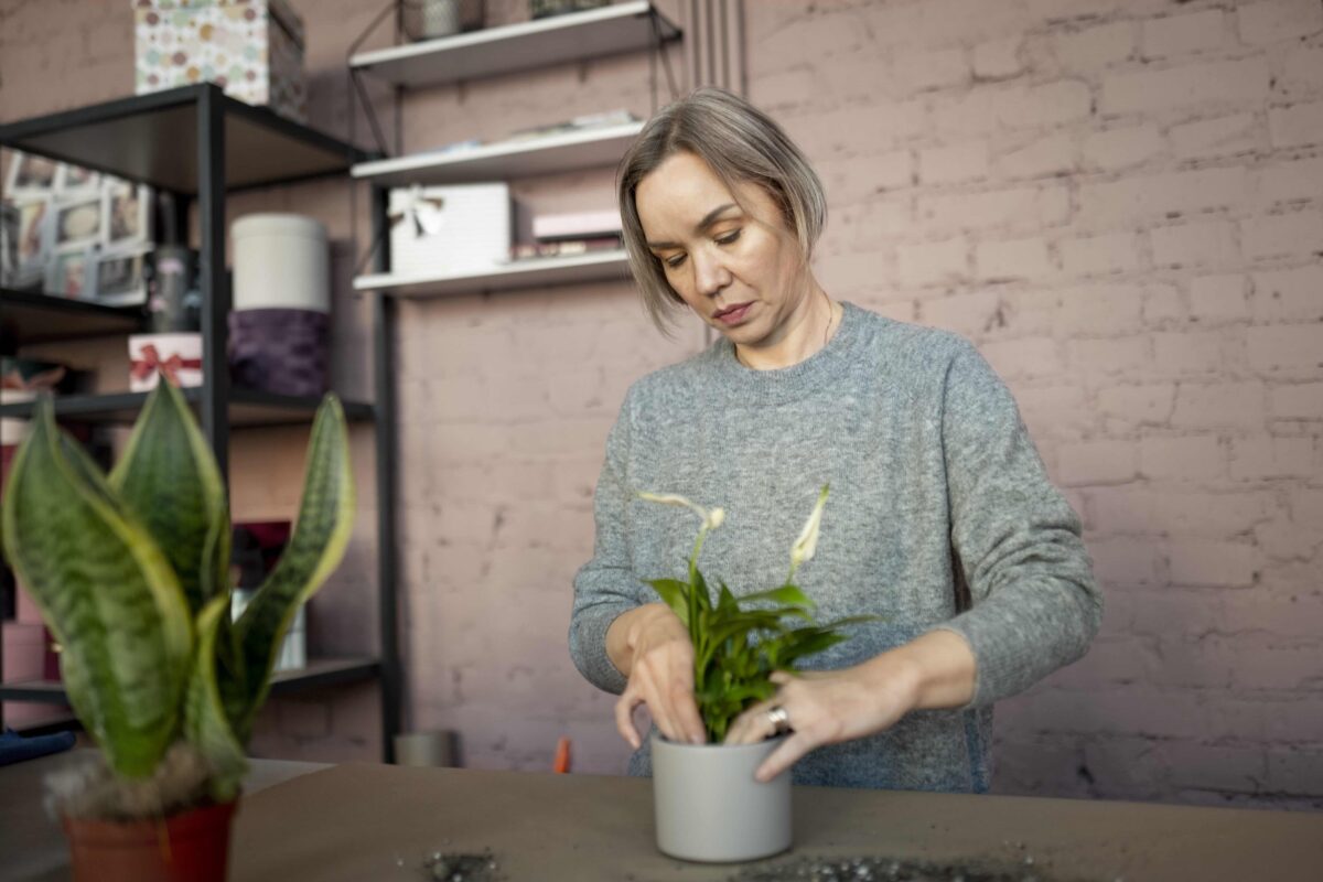 Šeštadienio Augalų Gidas (Birželio 14 d.): Atrakinkite Kosmines Paslaptis su Savo Zodiako Botanikos Atitikmeniu!