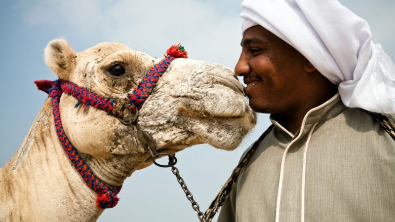 Kaip išgyventi karštį: išmintis iš įvairių pasaulio kampelių