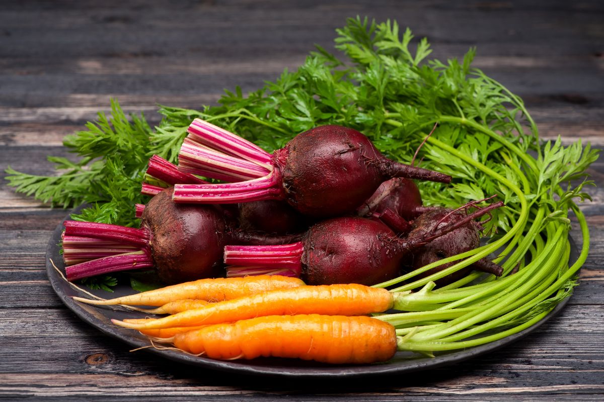 Kaip tręšti morkas ir burokėlius liepos mėnesį, kad būtų saldžios ir sultingos