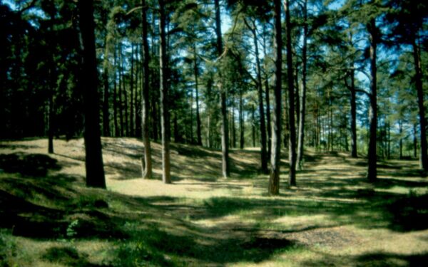 Kur atostogauti Lietuvoje rugpjūčio mėnesį: 6 ramios kryptys gamtos mylėtojams