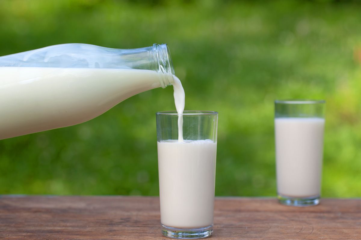 Pienas buityje: 10 praktiškų būdų, kaip panaudoti pieną kasdienybėje