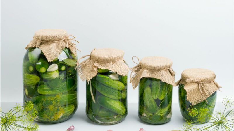 Rauginti agurkai: skonis iš vaikystės ir natūrali fermentacija
