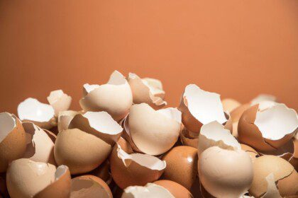 Kiaušinių lukštai sode: kaip juos naudoti teisingai?