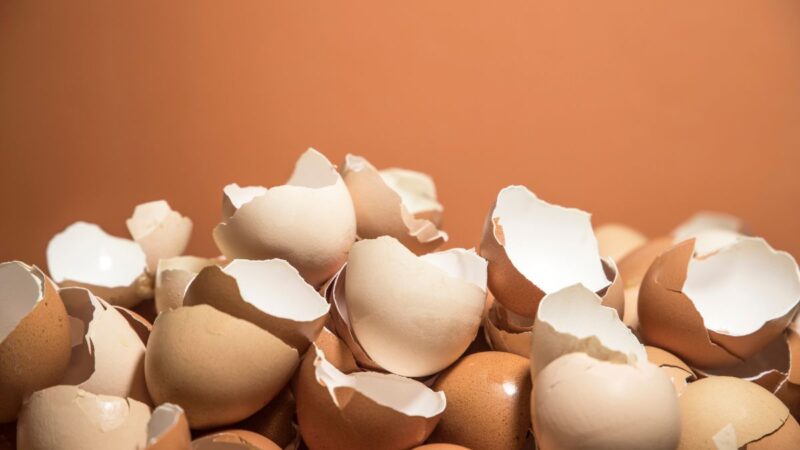 Kiaušinių lukštai sode: kaip juos naudoti teisingai?