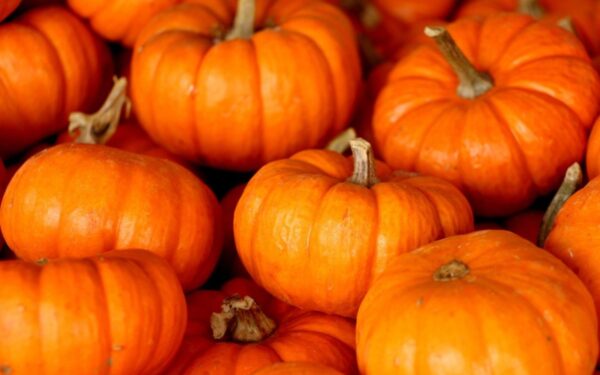 Moliūgas – rudens supermaistas, kurio nereikėtų pamiršti