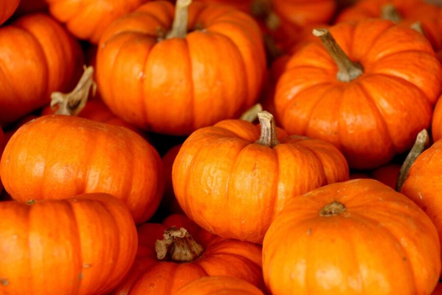 Moliūgas – rudens supermaistas, kurio nereikėtų pamiršti