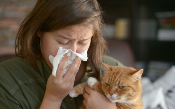 Alergija katėms: ką svarbu žinoti ir kaip sumažinti simptomus
