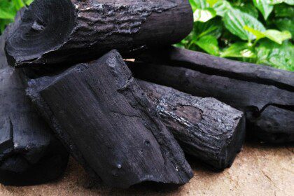 Anglis sode: kaip gali pagerinti dirvožemį ir augalų sveikatą