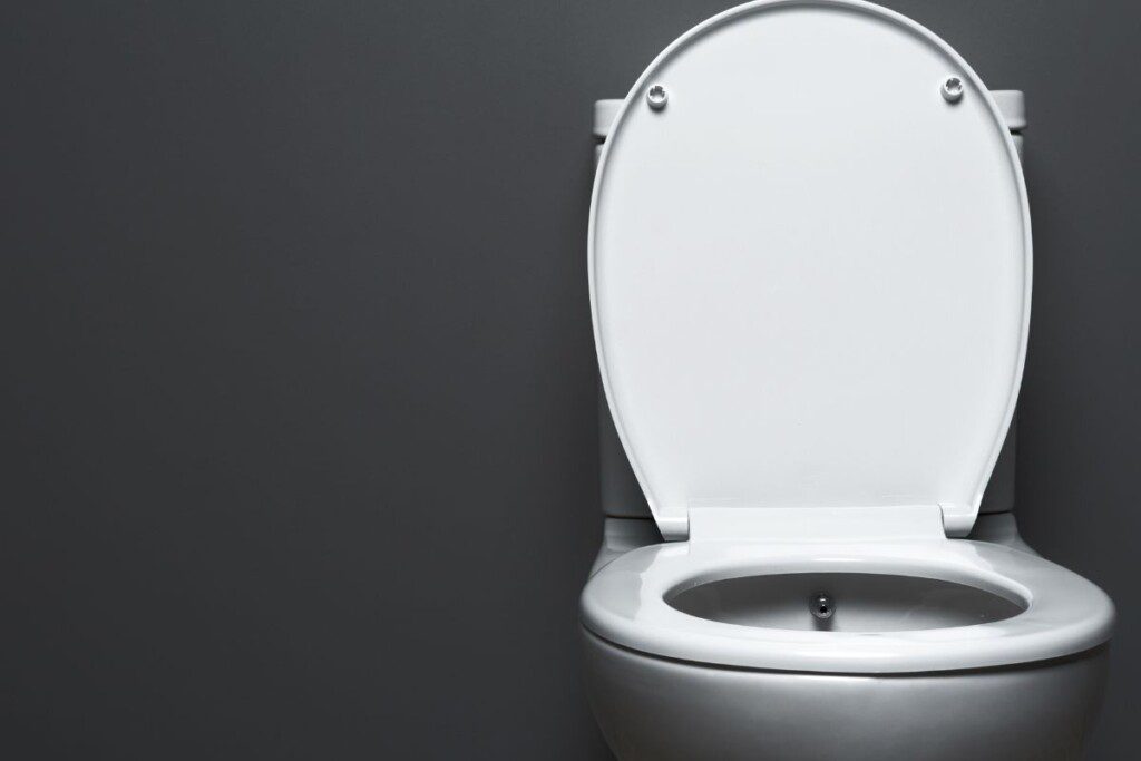 Ko būtina vengti namų ūkyje: nenukalkinkite tualeto su kola