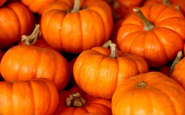 Moliūgas sveikatai: kodėl verta jį įtraukti į kasdienę mitybą