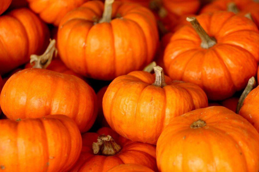 Moliūgas sveikatai: kodėl verta jį įtraukti į kasdienę mitybą