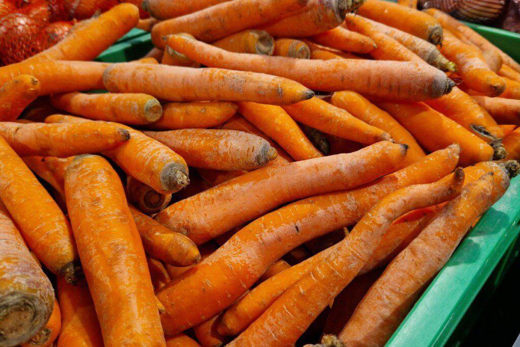 Pasiruošimas darže – pirmasis žingsnis morkų laikymo sėkmei