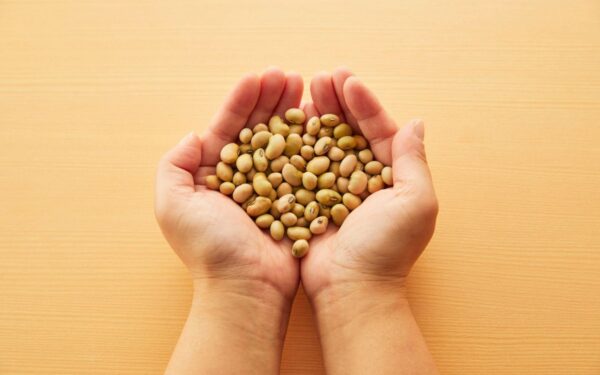 Sojos pupelės – puikus pasirinkimas raumenų masės palaikymui ir stiprinimui