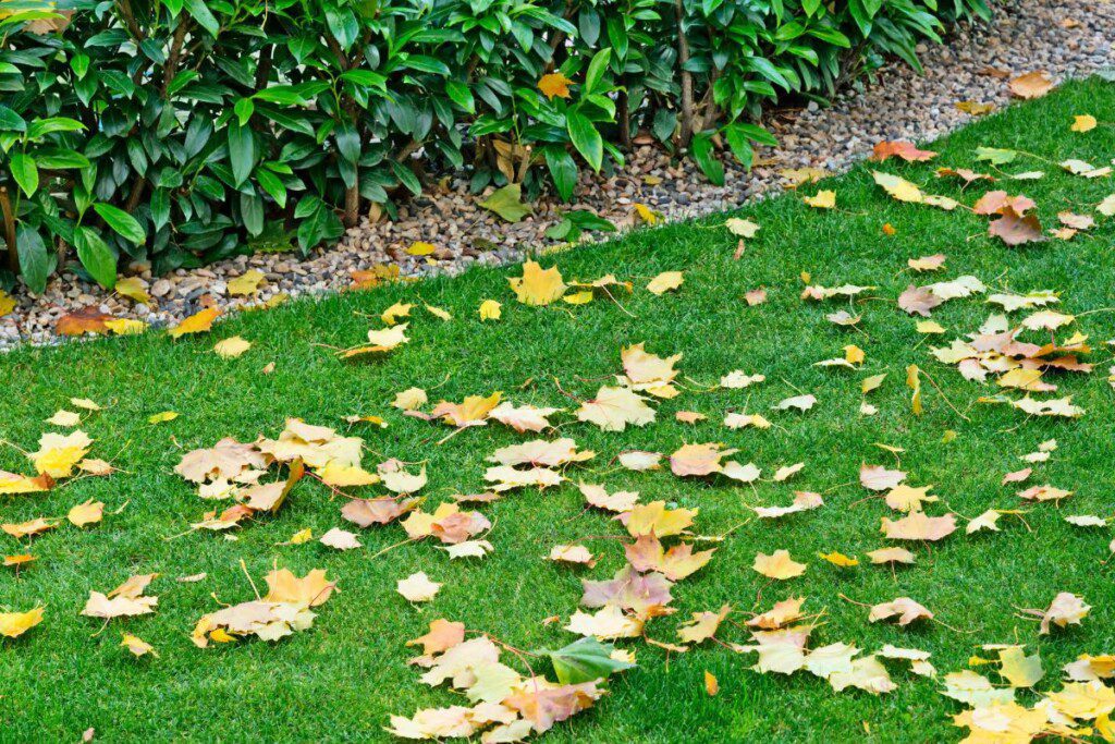 Darbai sode: paskutinis vejapjovės darbas